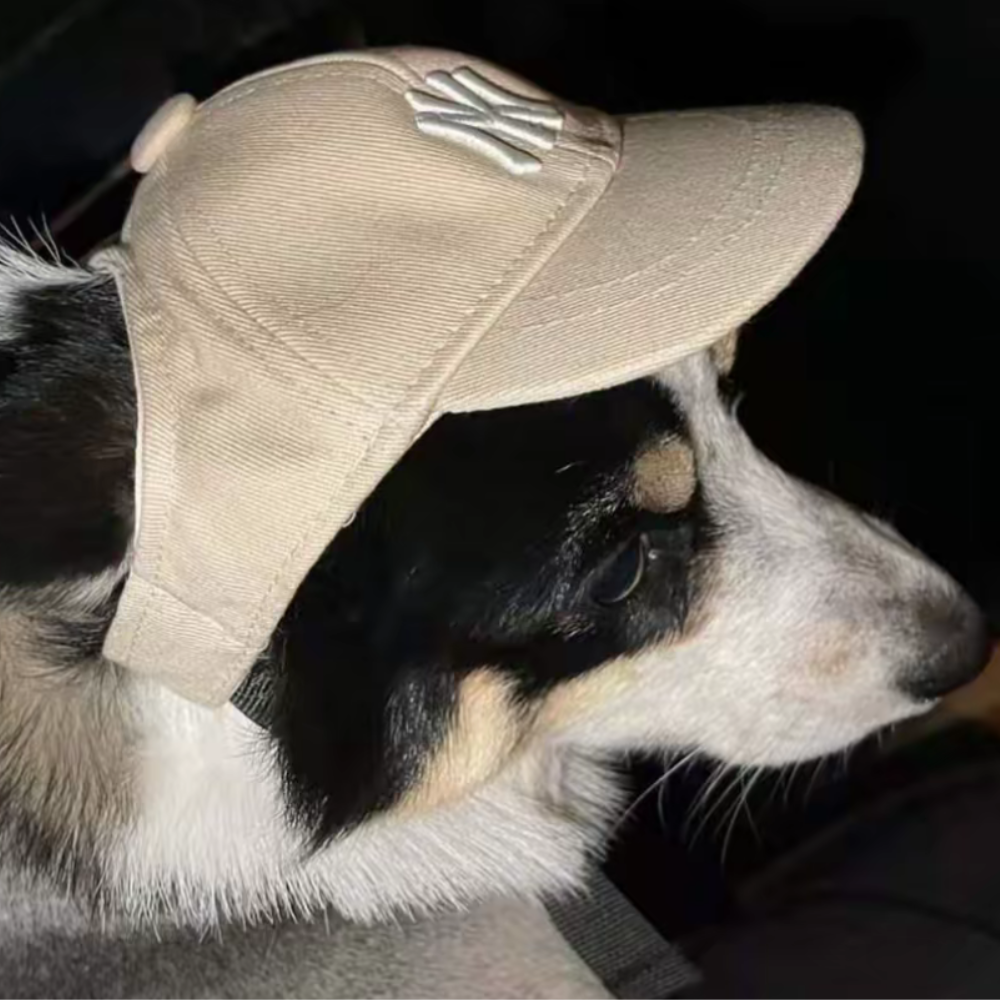 PuffPet CityCap – LA/NY Style