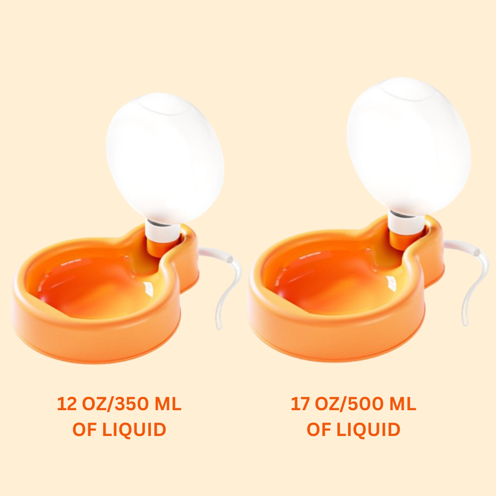 Balloon Water Bottle