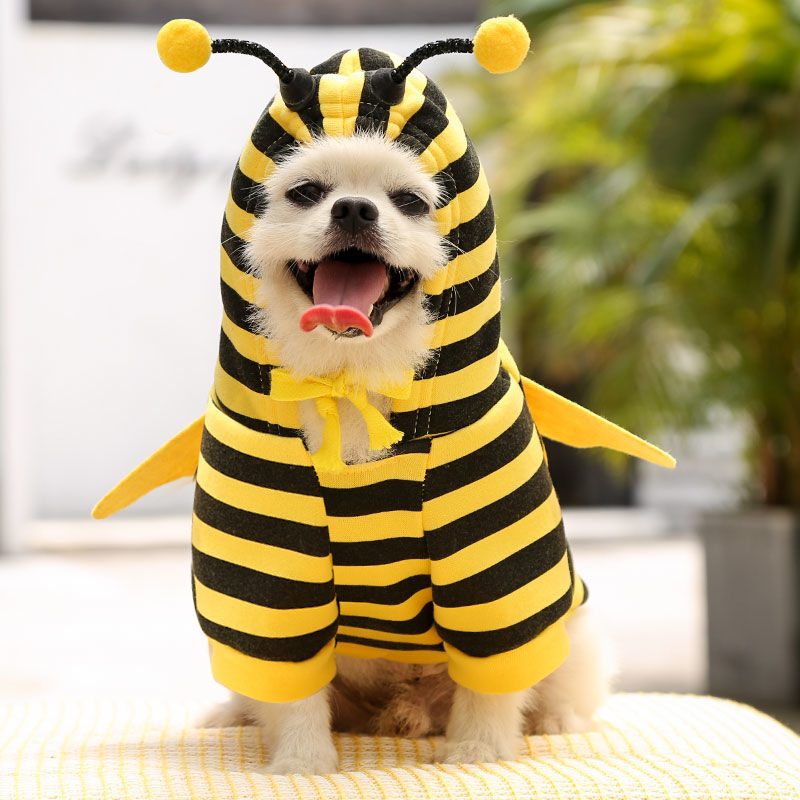 Little bee costume