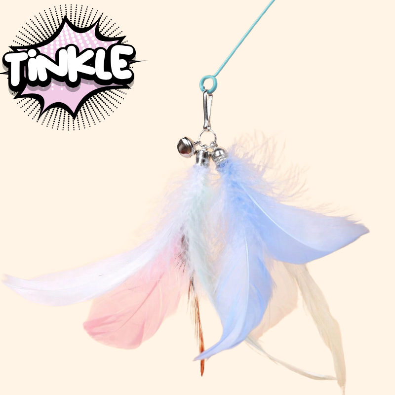 Wonder Special Offer