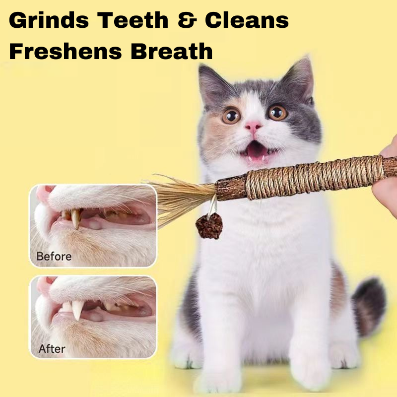 Wooden Polygonum Cat Chewer