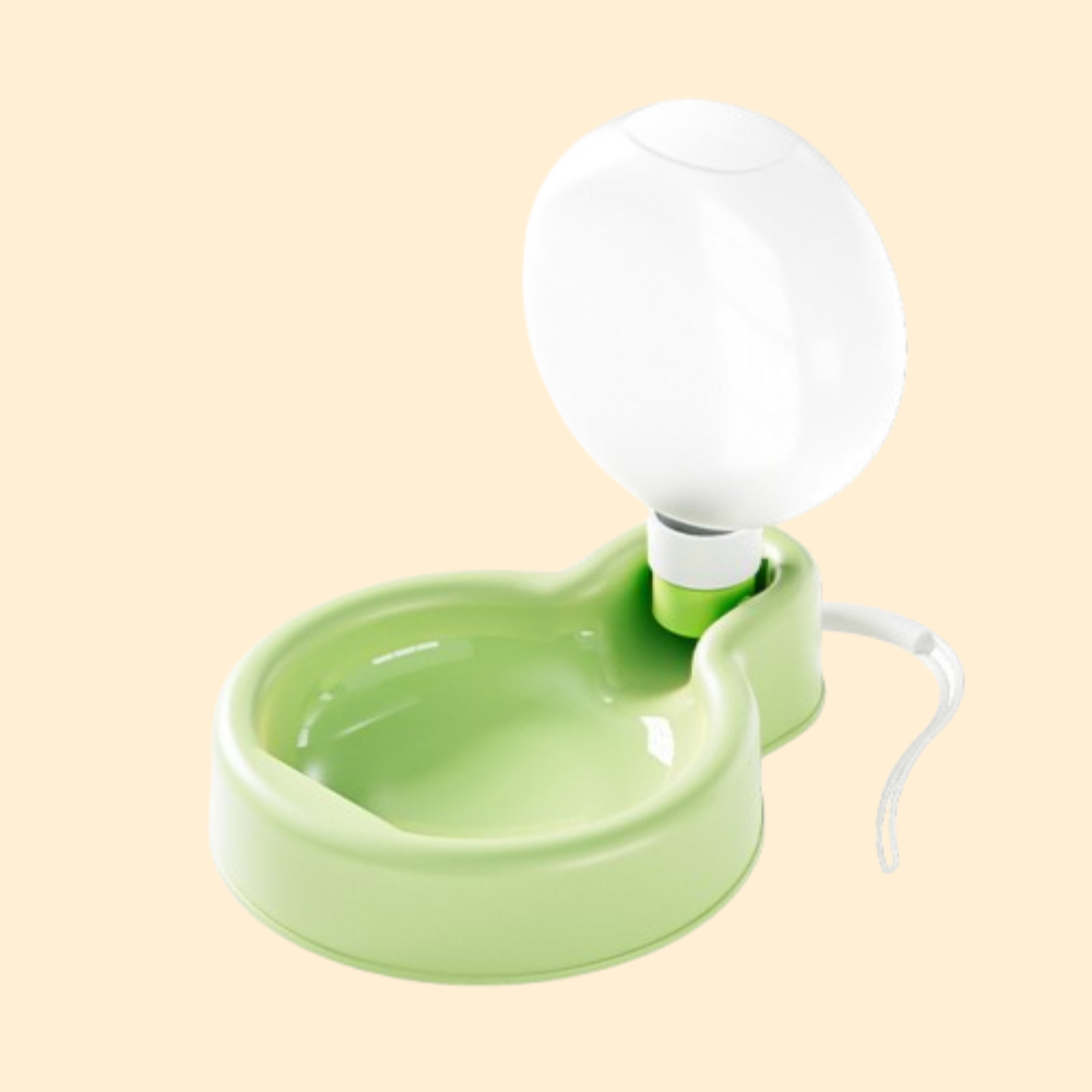 Balloon Water Bottle