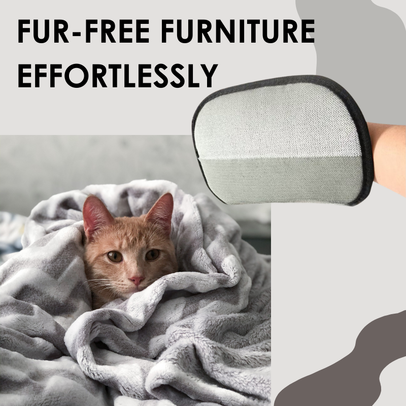 Pet FluffSweep