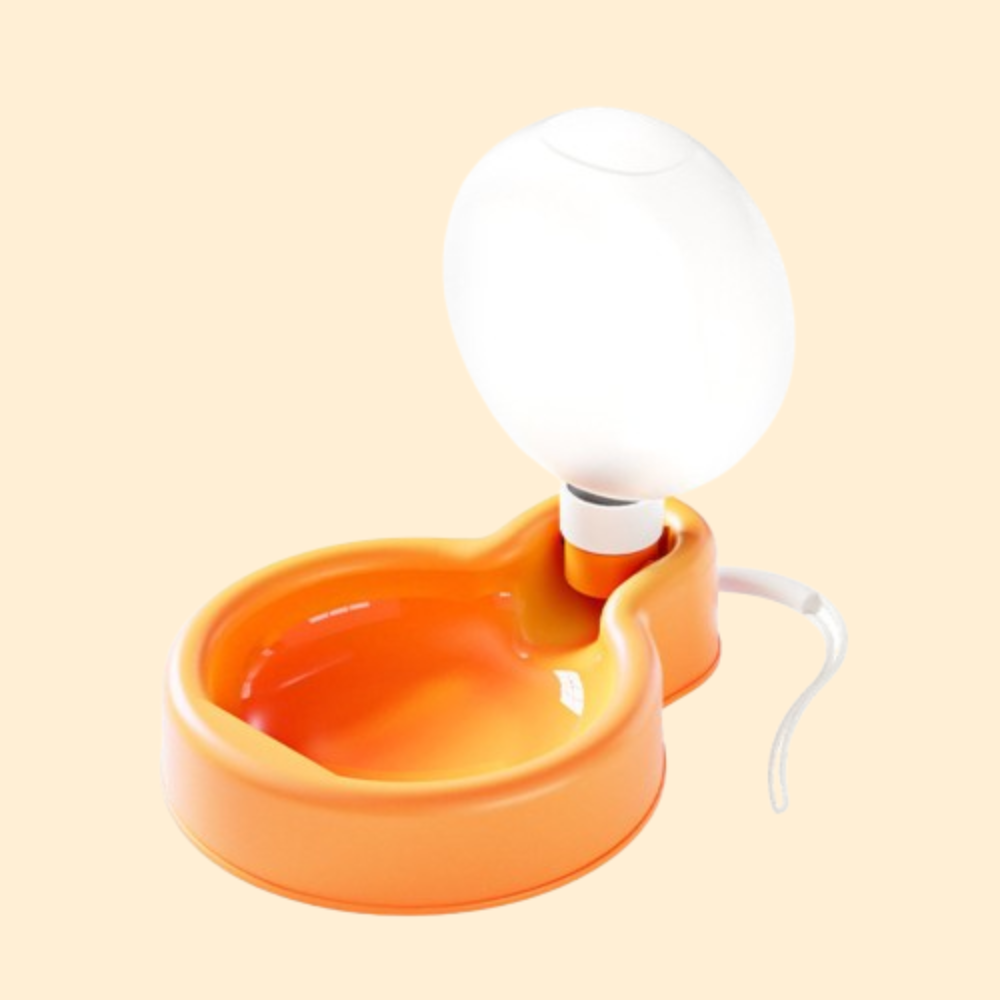 Balloon Water Bottle