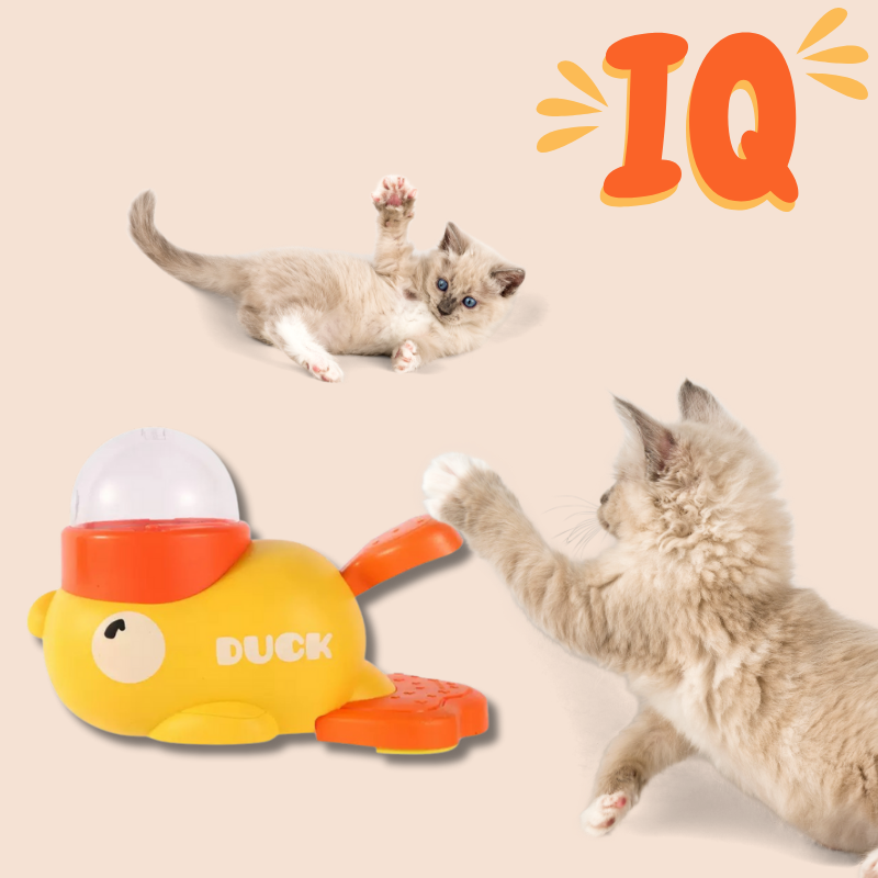 PawPilot Feeder Trainer Toy