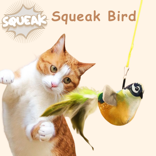 Squeak Bird-Replacement(MeowMastery Toy)
