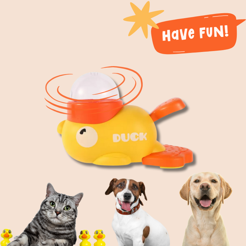 PawPilot Feeder Trainer Toy