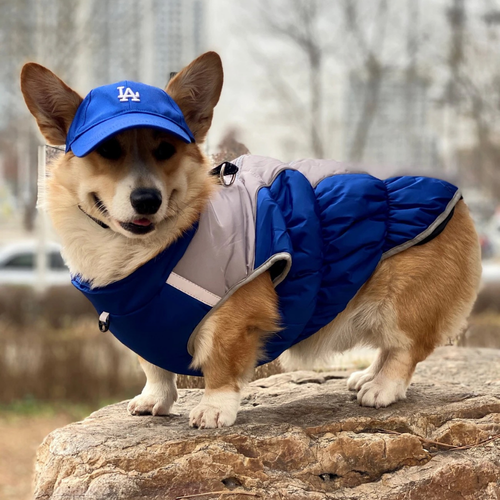 PuffPet CityCap – LA/NY Style