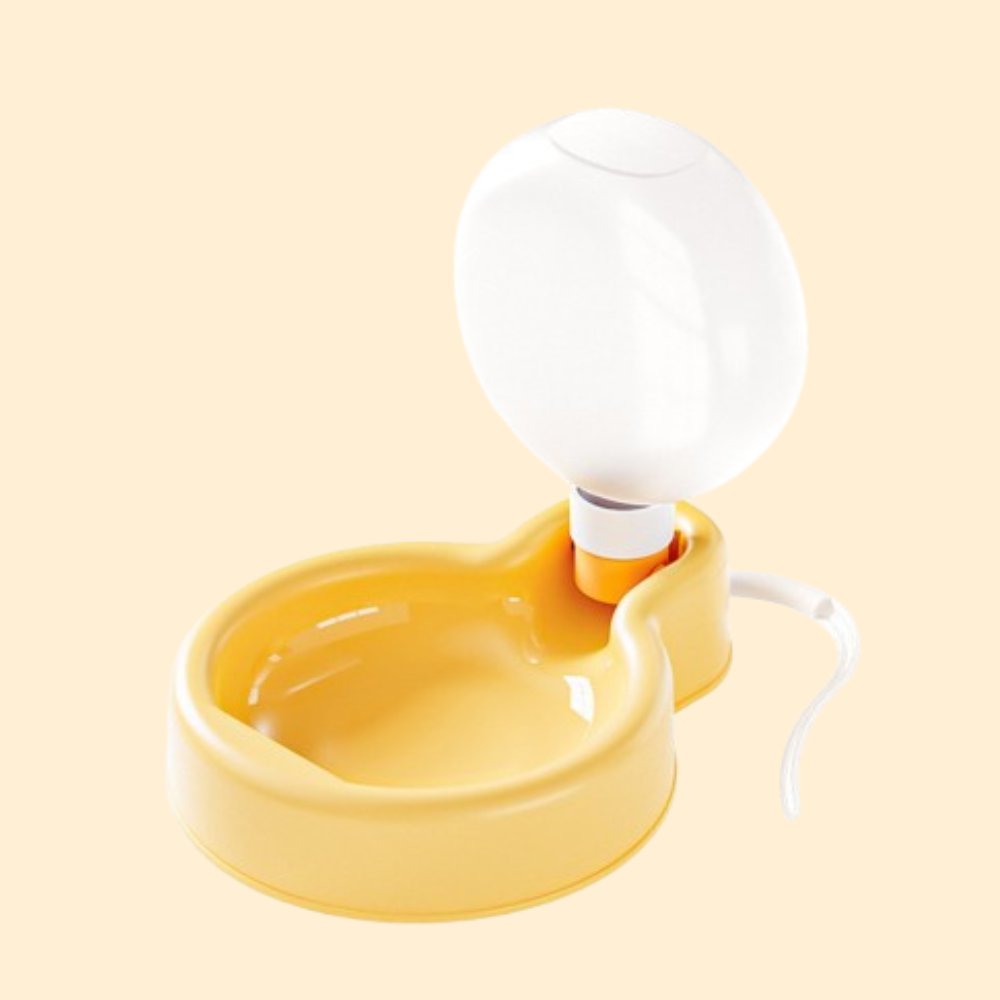 Balloon Water Bottle