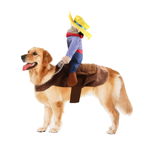Cowboy riding suit costume