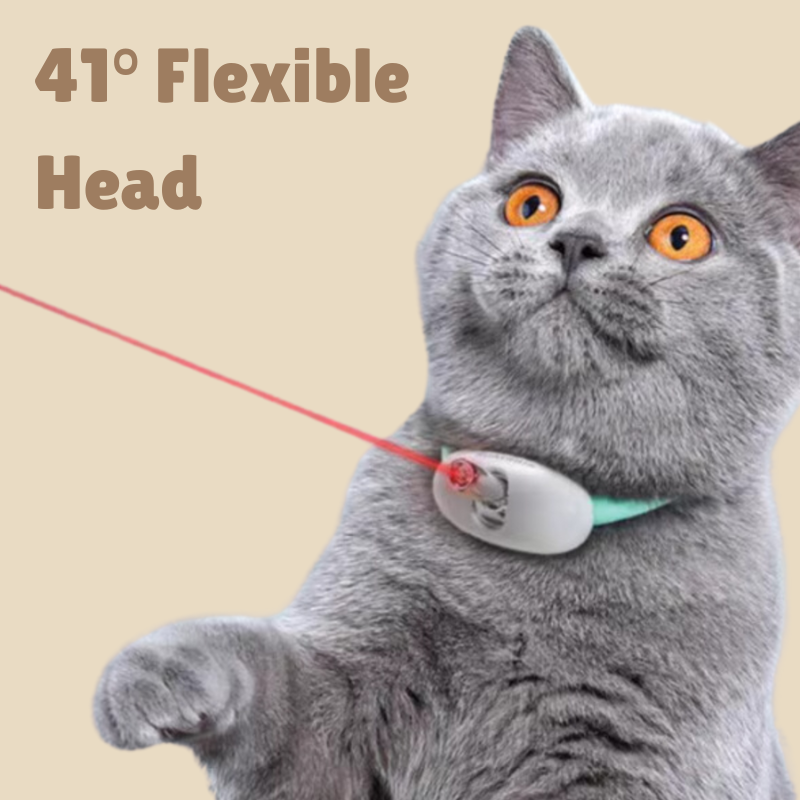 MeowBeam Toy V4