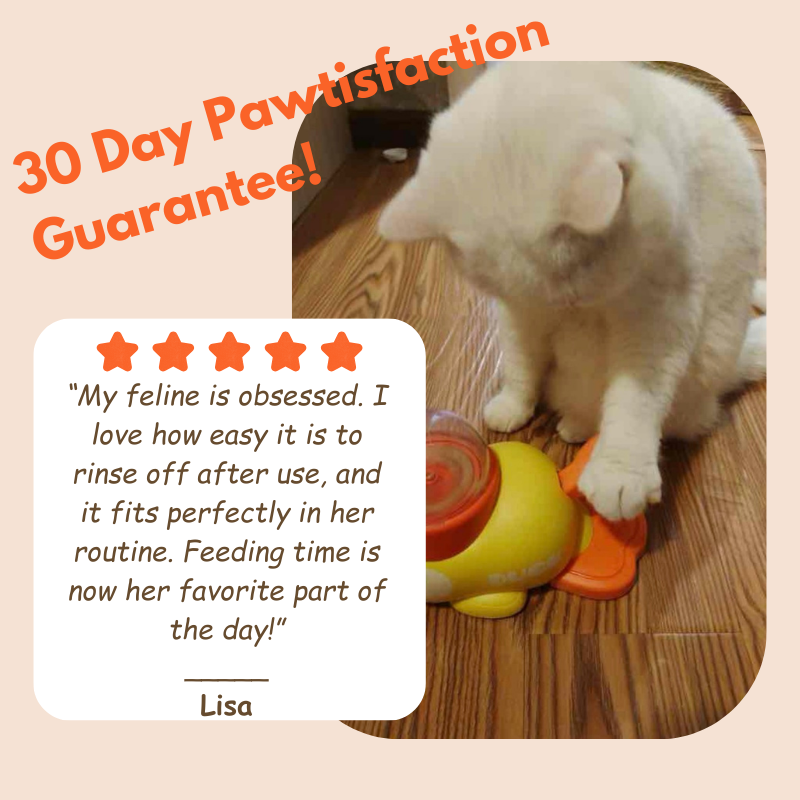 PawPilot Feeder Trainer Toy