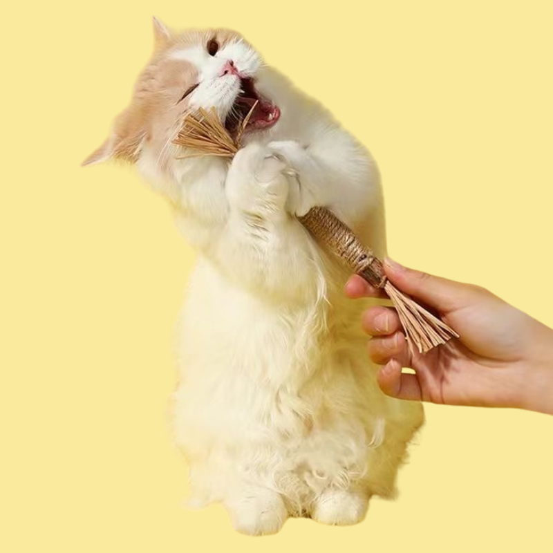 Wooden Polygonum Cat Chewer