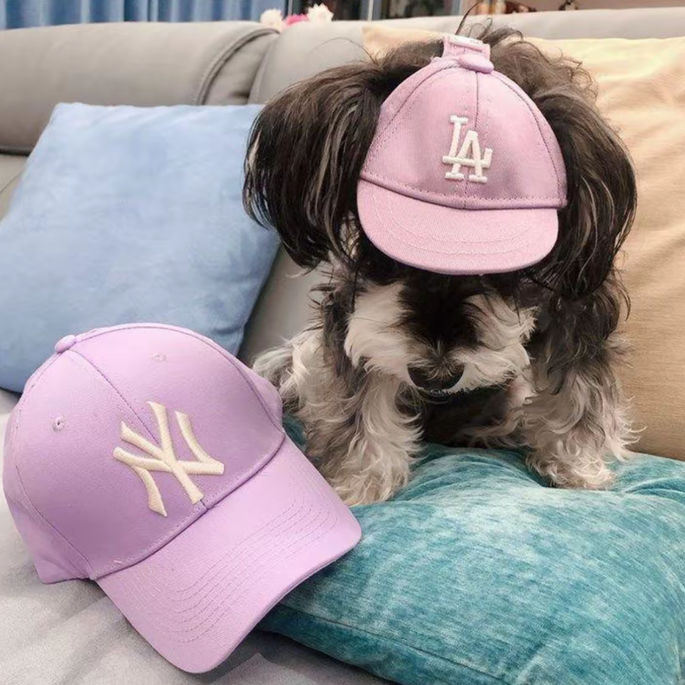 PuffPet CityCap – LA/NY Style