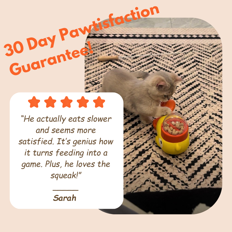 PawPilot Feeder Trainer Toy