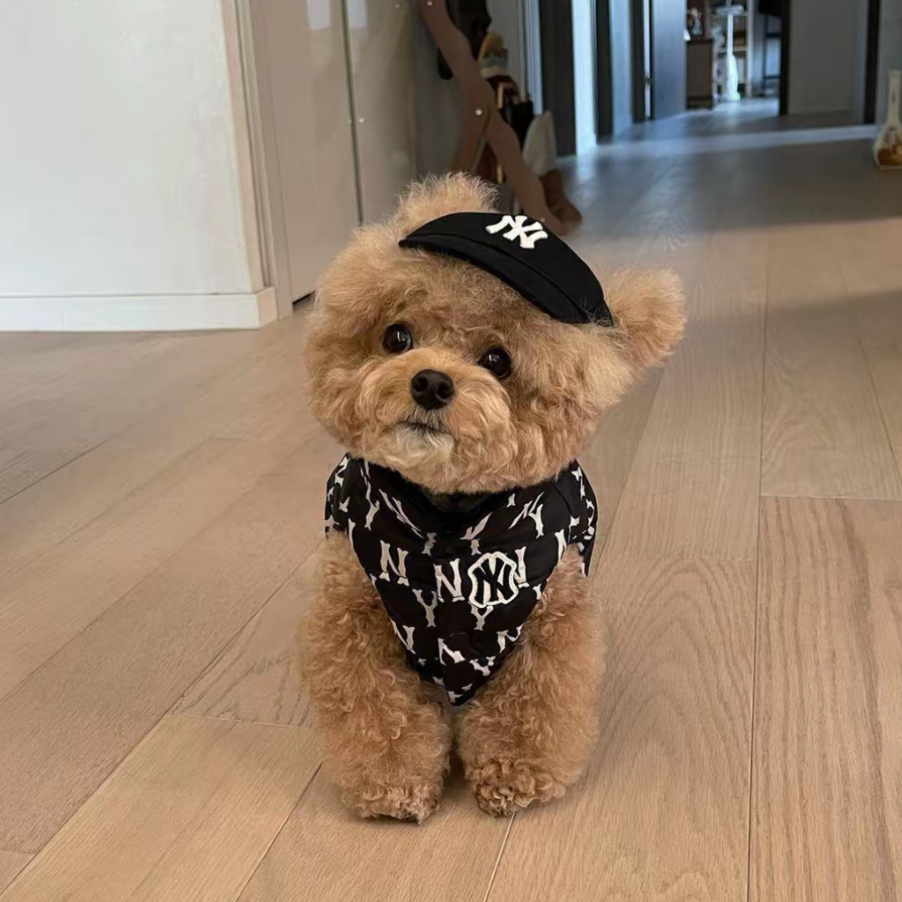 PuffPet CityCap – LA/NY Style