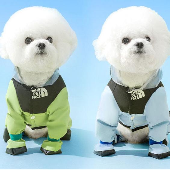 The Dog Face Raincoat