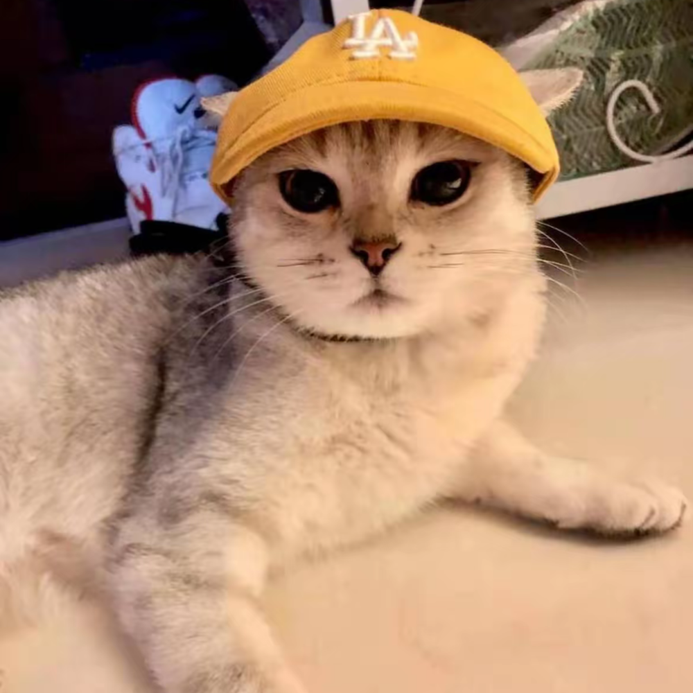 PuffPet CityCap – LA/NY Style