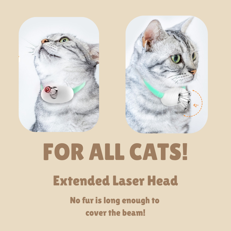MeowBeam Toy V4