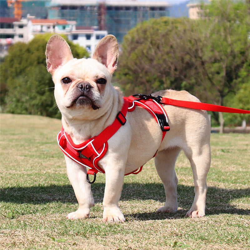 Cute Cartoon Leash Poket Decor Pet Vest