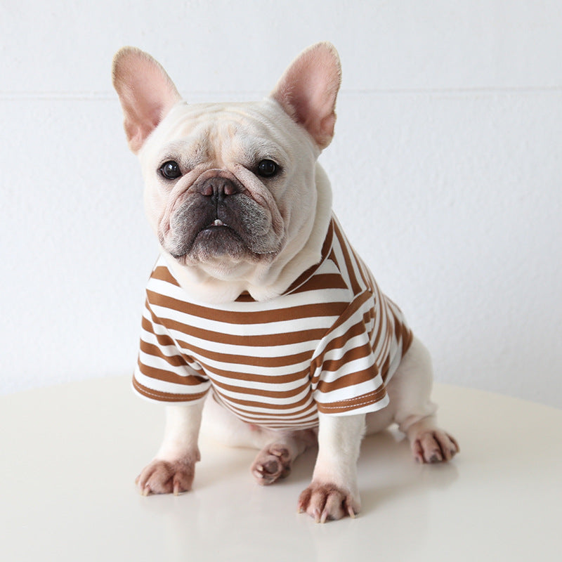 Comfortable Bulldog Clothing