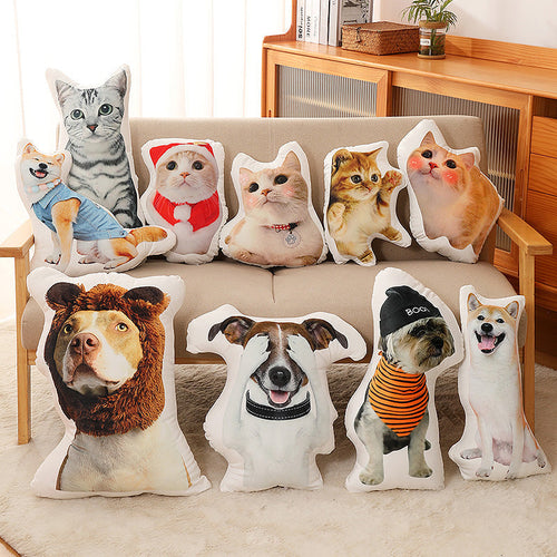 BigHug Custom Pillow