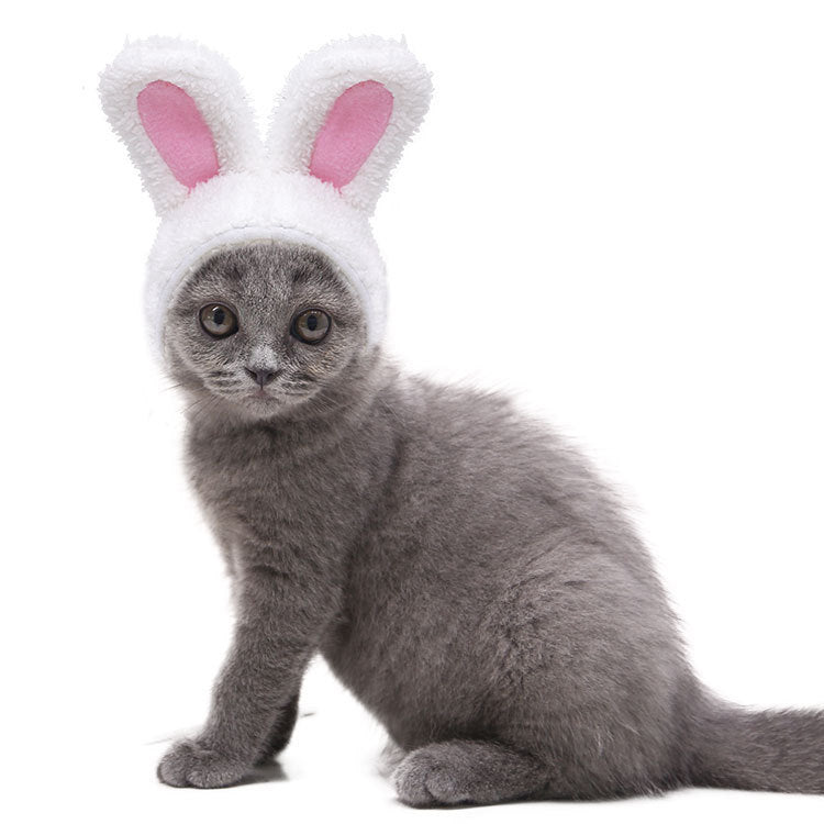 FluffyBunny Pet Hat