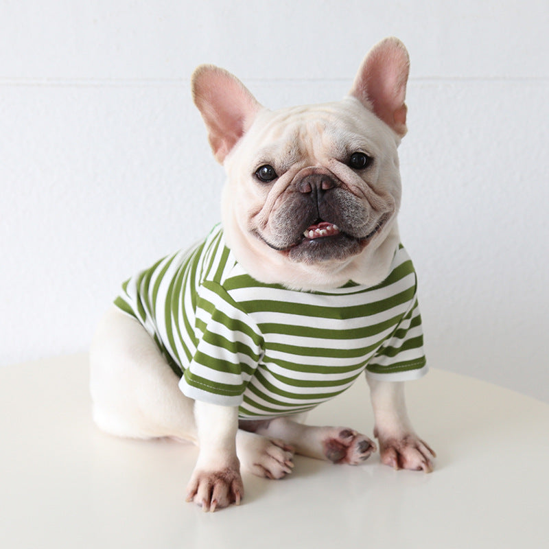 Comfortable Bulldog Clothing
