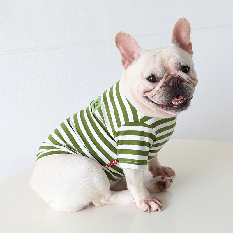Comfortable Bulldog Clothing