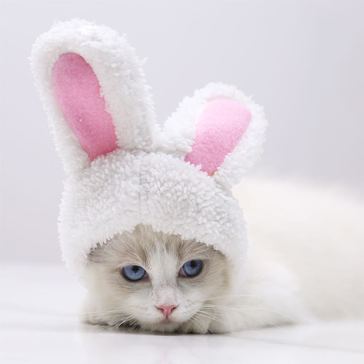 FluffyBunny Pet Hat