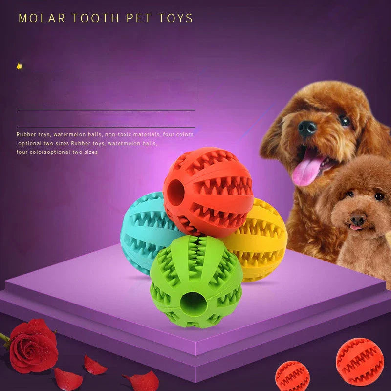 Interactive Bite-resistant Chew Toy