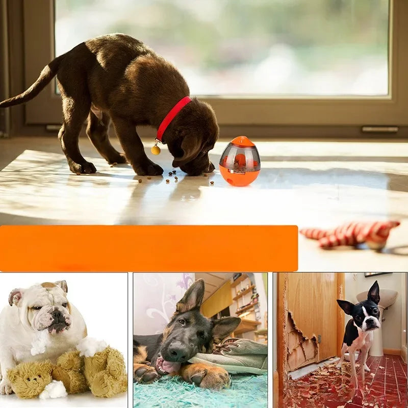 Pet Leaky Ball Training