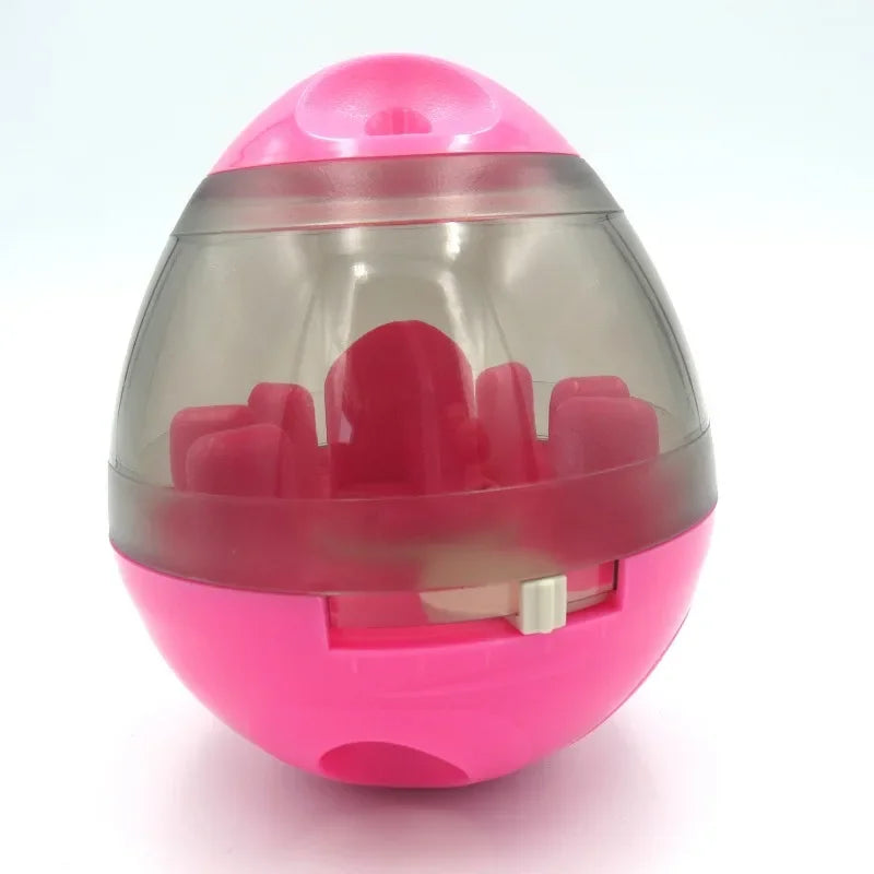 Pet Leaky Ball Training