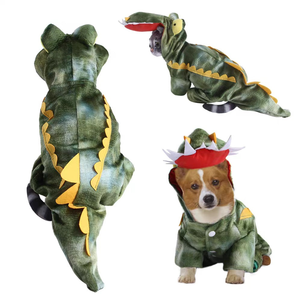 Dino Dasher Pet Costume