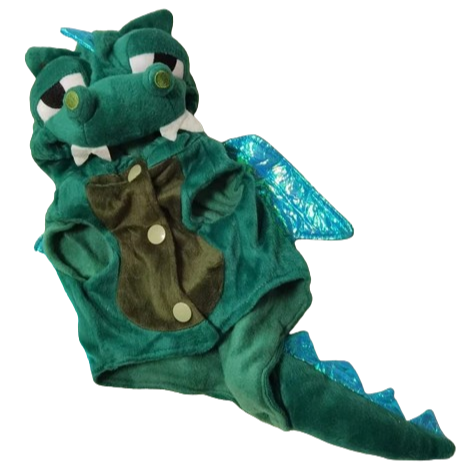 Cute Flying Dinosaur Costume