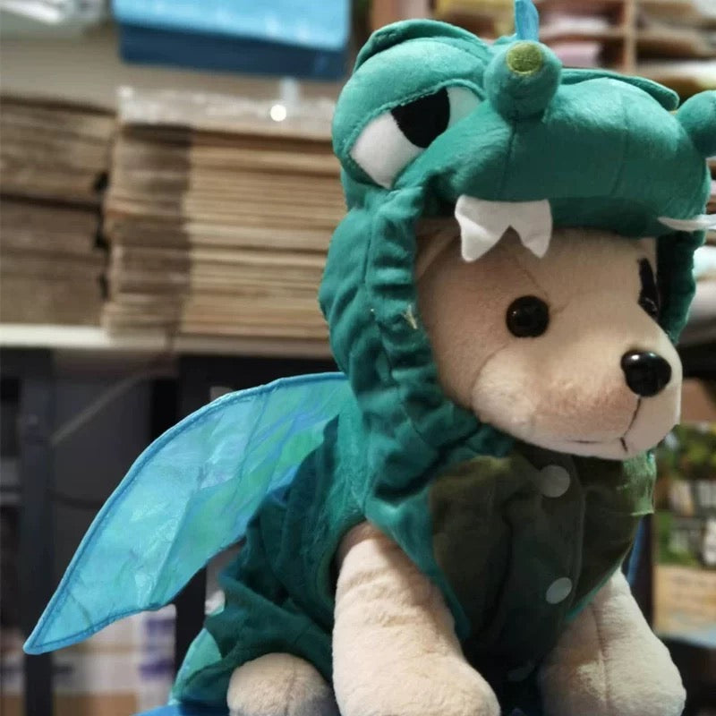 Cute Flying Dinosaur Costume