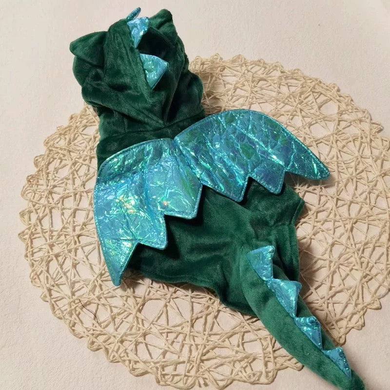 Cute Flying Dinosaur Costume