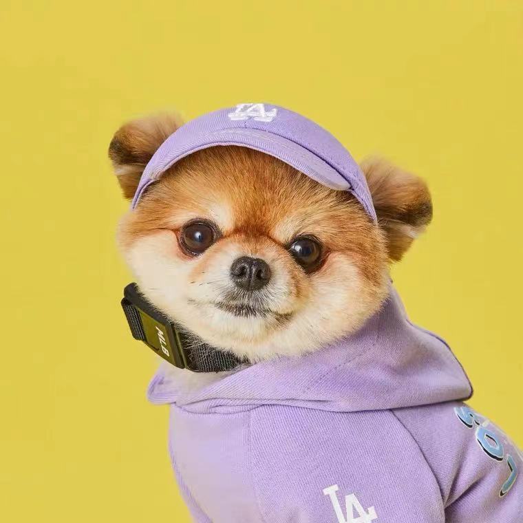 PuffPet CityCap – LA/NY Style
