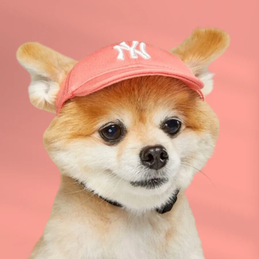 PuffPet CityCap – LA/NY Style