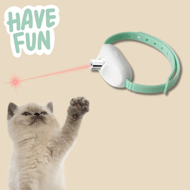 MeowBeam Toy V4
