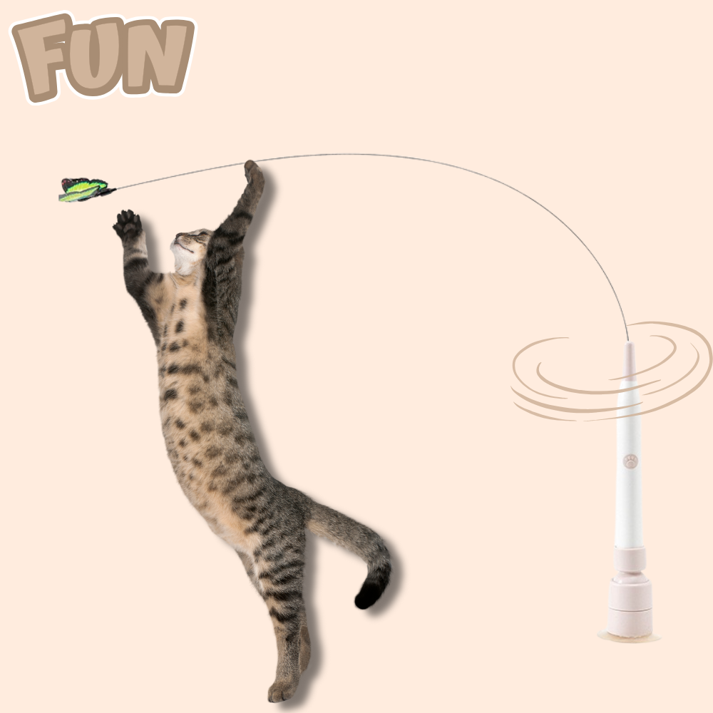 MeowVibe Toy - 360° Auto Rotation