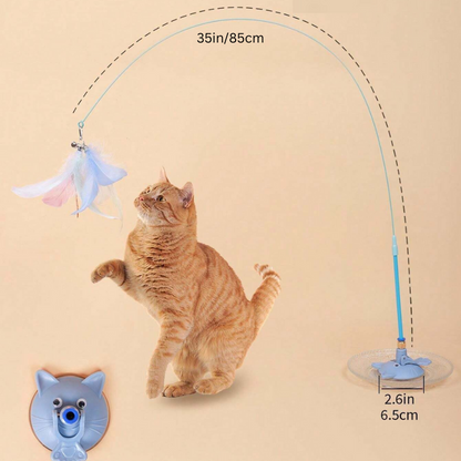 Cat Wonder Toy