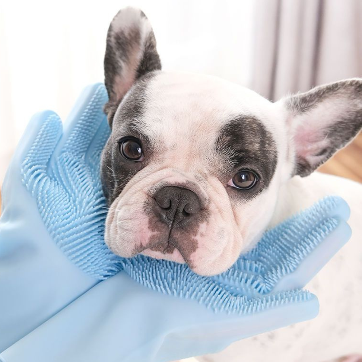 Massage Pet Washing Gloves