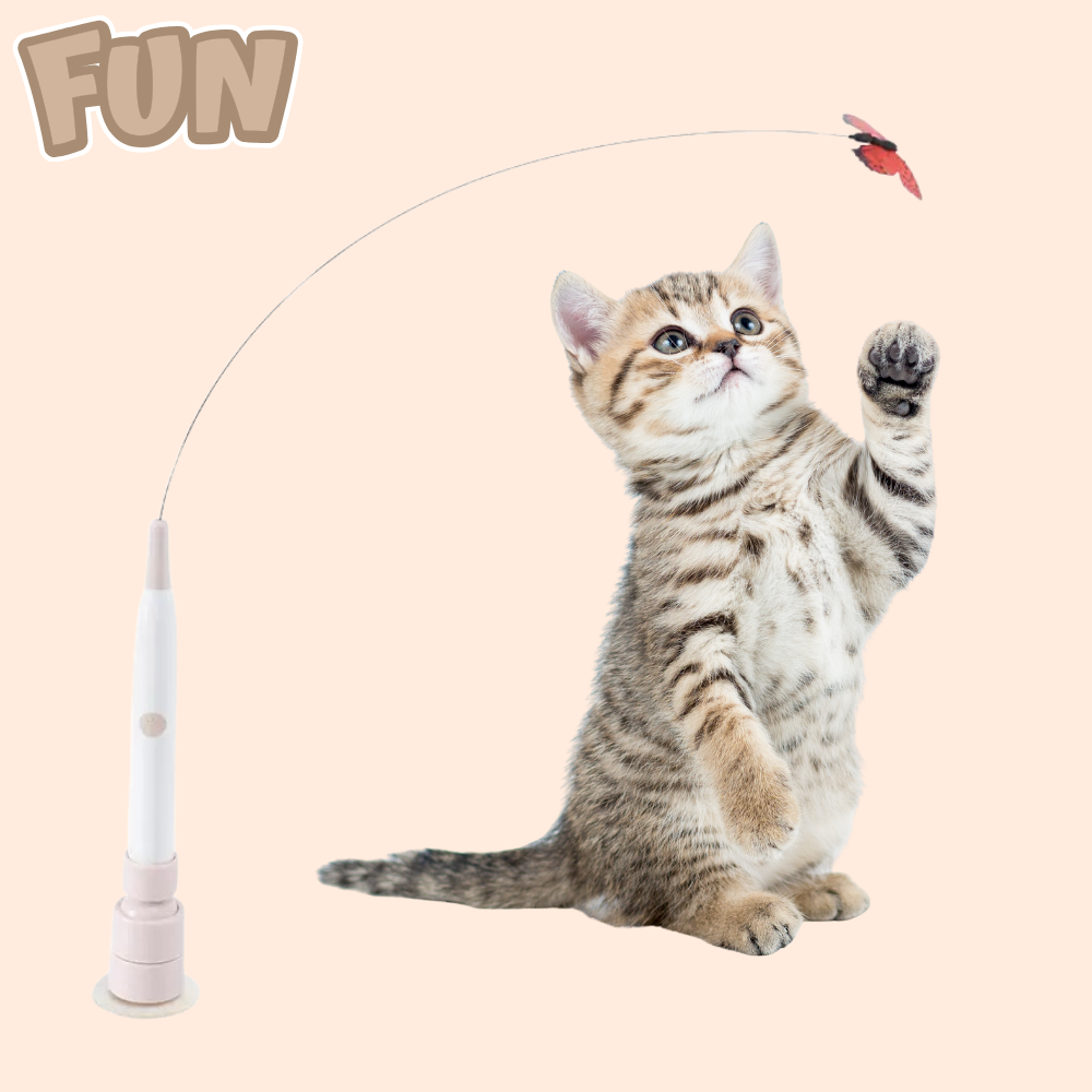 MeowVibe Toy - 360° Auto Rotation