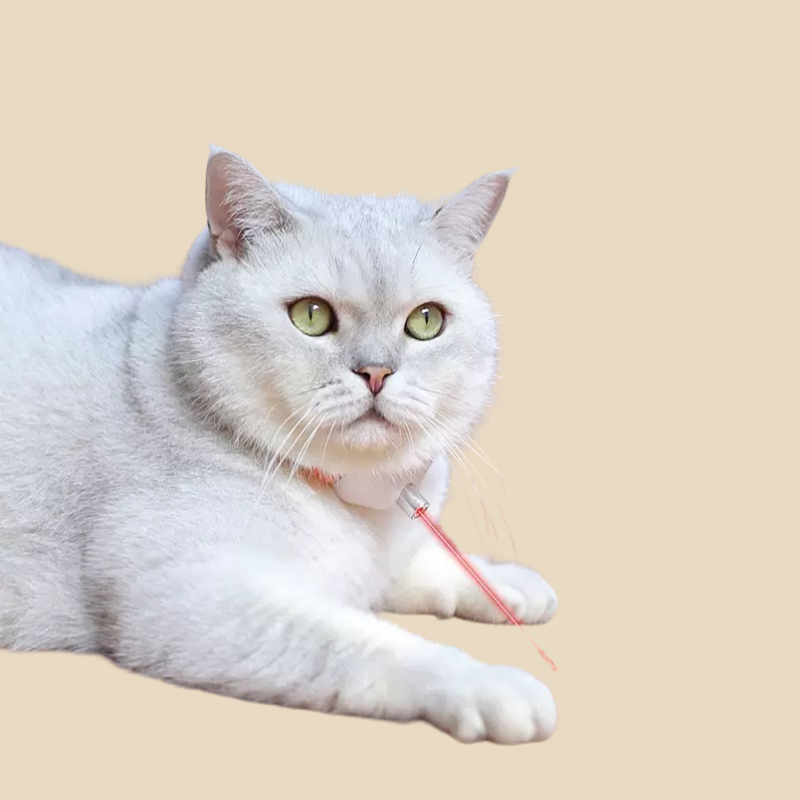 MeowBeam Toy V4