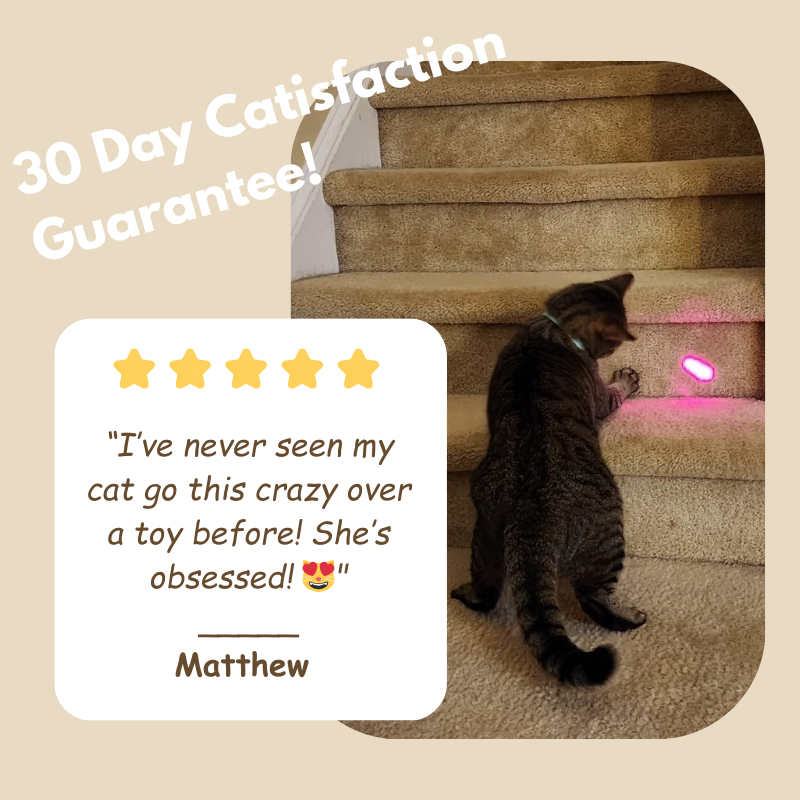 MeowBeam Toy V4