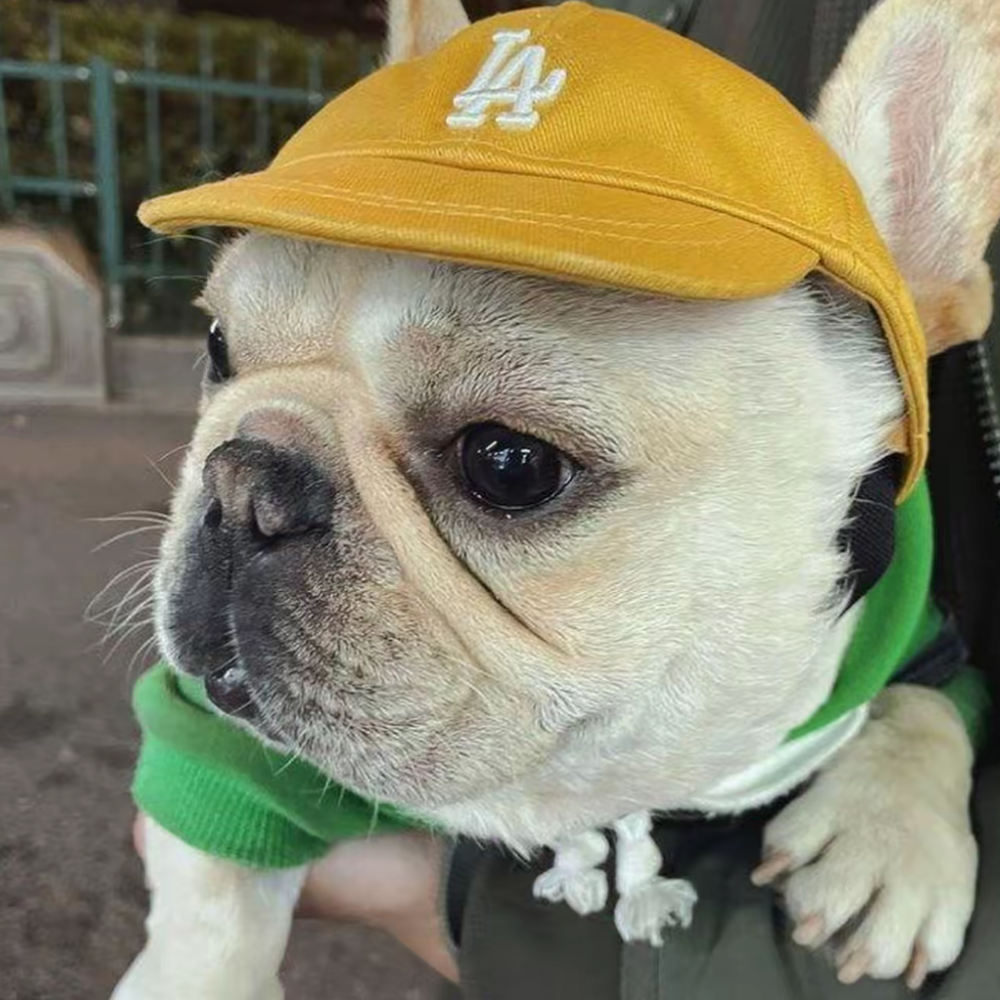 PuffPet CityCap – LA/NY Style