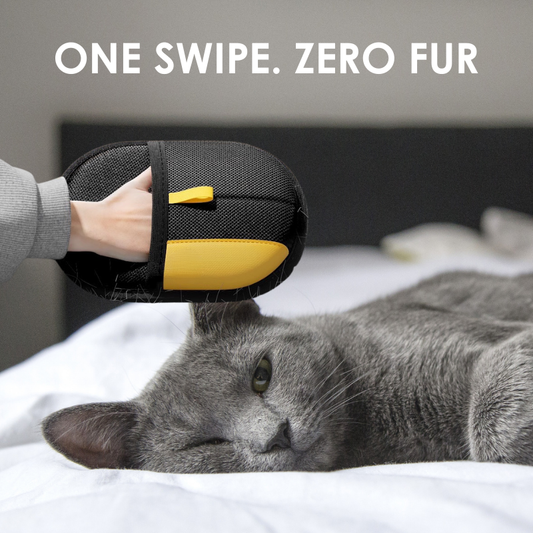 Pet FluffSweep