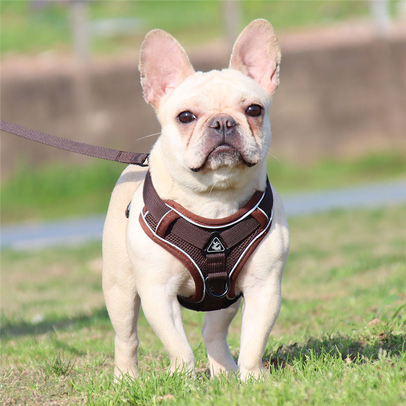 Cute Cartoon Leash Poket Decor Pet Vest