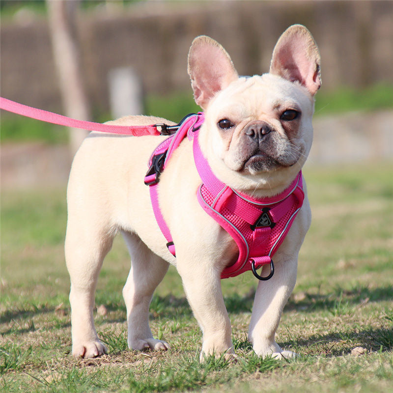 Cute Cartoon Leash Poket Decor Pet Vest